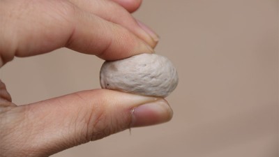 做肉丸用什么可以代替高彈素達(dá)到增彈增脆的效果？